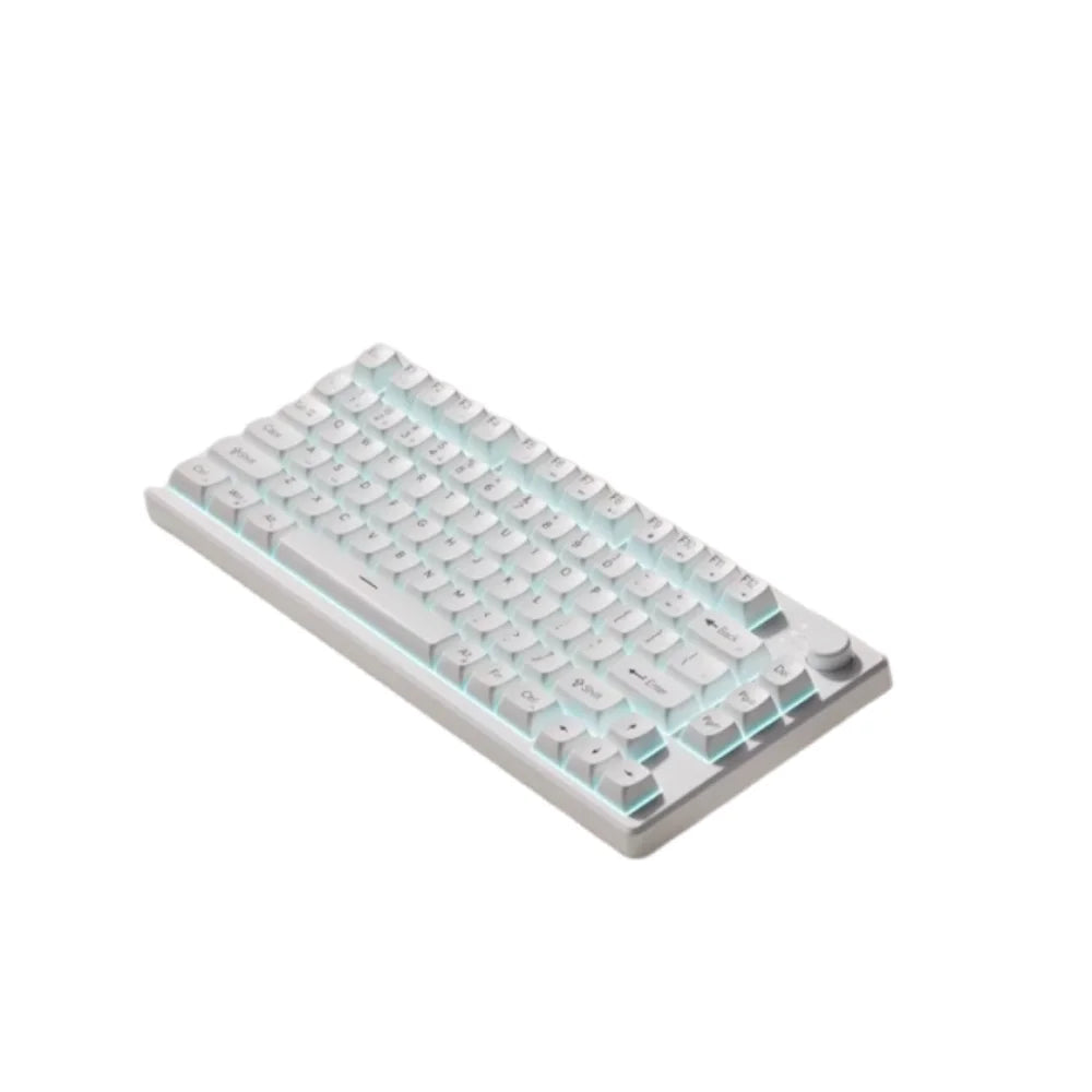 Wired Connection Gaming Mechanical Keyboard Compact Layout 75 Layout Mechanical Feel Keyboard Ultra-Quiet