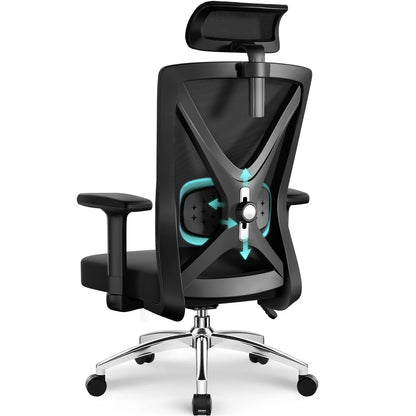 Hiazurm Ergonomic Office Chair with Lumbar Support, Adjustable Headrest & Armrests, Height Adjustable Desk Chair for Home Office, Gaming & Work