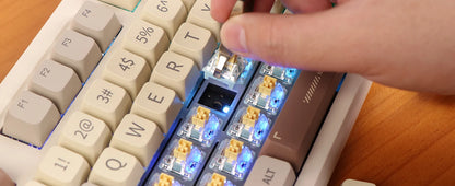 EPOMAKER RT100 95% Gasket-Mounted Wired/Bluetooth/2.4G Wireles Mechanical Keyboard with Multi-media Knob & Mini Display