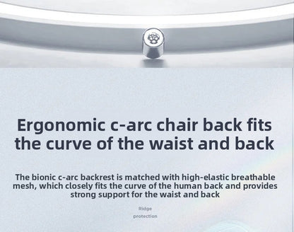Ergonomic Office Chair Adjustable Computer Desk Chair with Lumbar Support, Mesh Executive Swivel Office Chair for Work, Study & Gaming