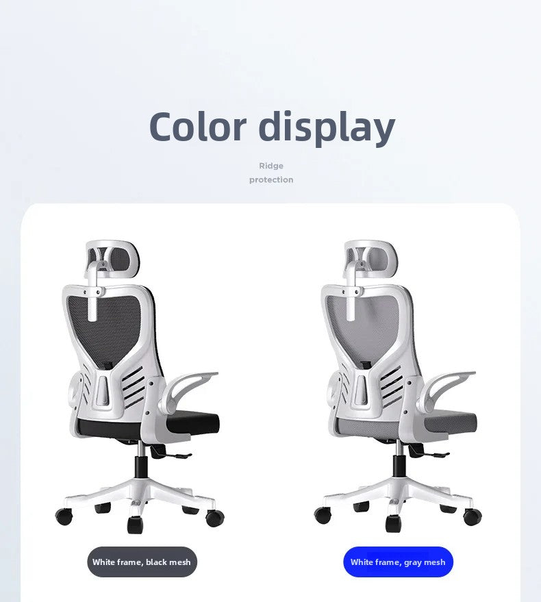 Ergonomic Office Chair Adjustable Computer Desk Chair with Lumbar Support, Mesh Executive Swivel Office Chair for Work, Study & Gaming