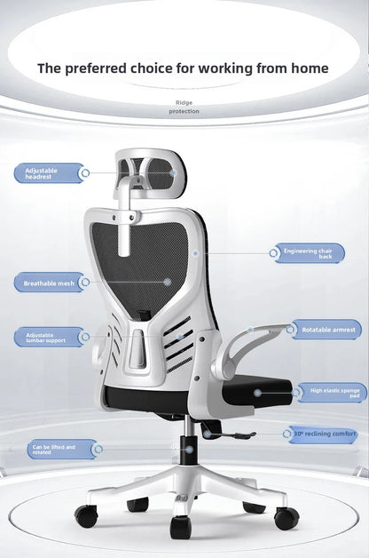 Ergonomic Office Chair Adjustable Computer Desk Chair with Lumbar Support, Mesh Executive Swivel Office Chair for Work, Study & Gaming