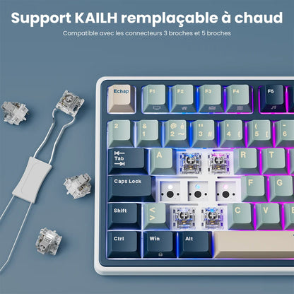 RK R75 Royal Kludge Wired Mechanical Keyboard 80 Keys 80% Gasket RGB Backlit Hot-swappable Gaming Keyboard with MDA PBT Keycaps
