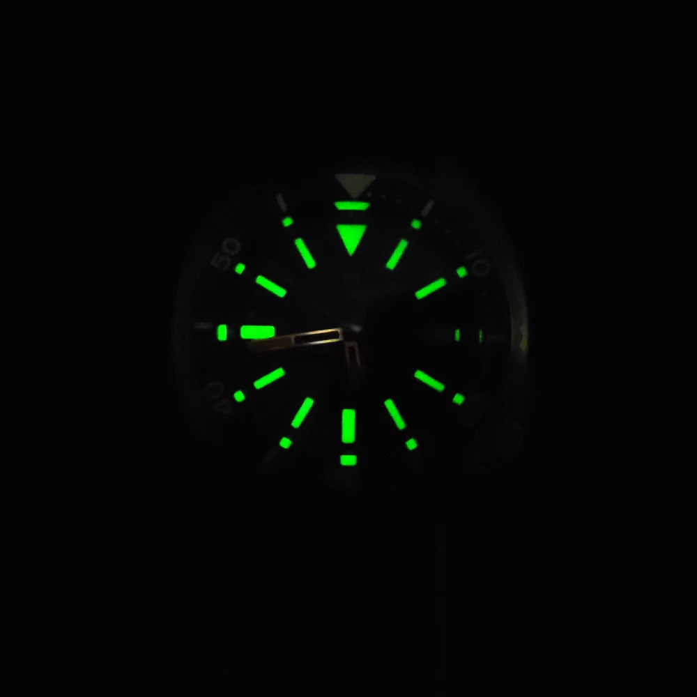 PARNSRPE Diver's Luxury Men's Watch Small Abalone Automatic Mechanical Watch Movement Aseptic Dial Sapphire Glass