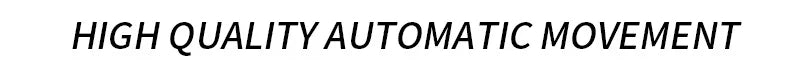 PONIGER Sapphire Crystal Glass Wrist Watch Painting Dial Man Leather Automatic Wristwatch MIYOTA 8219