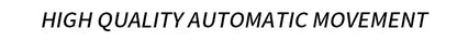 PONIGER Sapphire Crystal Glass Wrist Watch Painting Dial Man Leather Automatic Wristwatch MIYOTA 8219