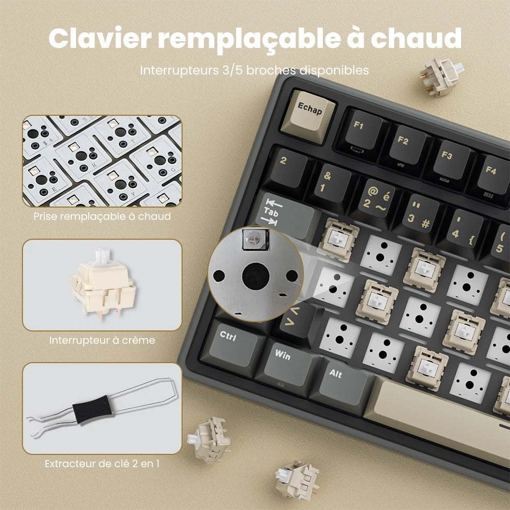 RK ROYAL KLUDGE R98Pro Gasket kabelgebundene mechanische Tastatur, 98 Tasten, RGB, Hot-Swap-fähig, abnehmbarer Button, Gaming-Tastatur mit PBT-Tastenkappen