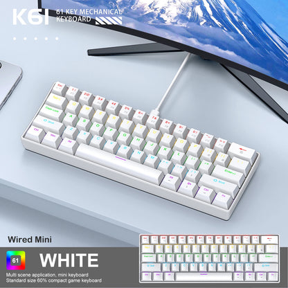 APAYADO K61 60% Mechanical Keyboard Wired RGB, 61 Keys Mini Gaming Keyboard with Red/Blue Switches, Compact RGB Mechanical Keyboard for PC & Laptop