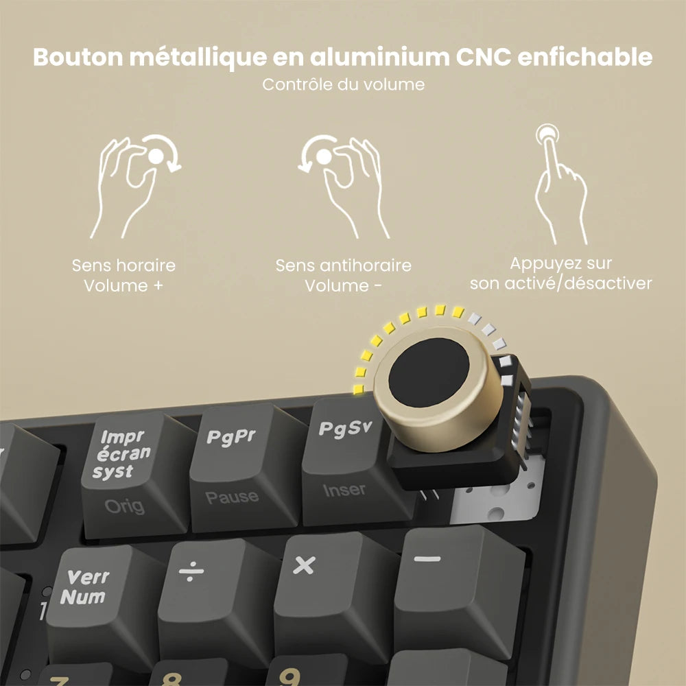 RK ROYAL KLUDGE R98Pro Gasket kabelgebundene mechanische Tastatur, 98 Tasten, RGB, Hot-Swap-fähig, abnehmbarer Button, Gaming-Tastatur mit PBT-Tastenkappen