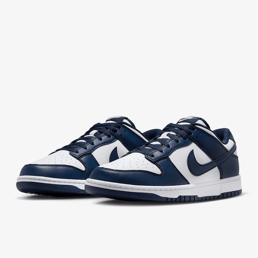 Nike Authentic Dunk Low Retro Men's Sports Low-Top Sneakers HF5441-107