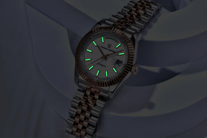 PAGANI DESIGN Men's Watches 2026 New Enamel Dial DD36 Automatic Watch Men Business Waterproof Mechanical Wristwatch For Men Gift