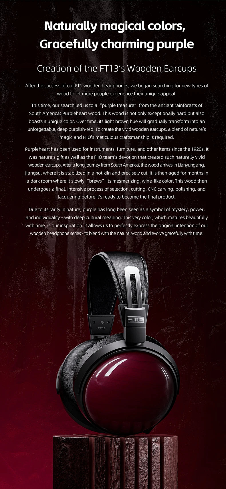 FiiO FT13 Audiophile Closed-Back HiFi Wired Headphones – Hi-Res Audio Premium Studio-Grade Over-Ear Headset