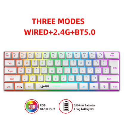 60% Wireless Gaming Keyboard, 61 Keys Triple Mode BT5.0/2.4G/USB-C Wireless Keyboard- RGB Backlit