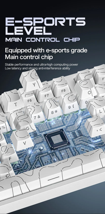 ATTACK SHARK R82 HE Magnetic Keyboard Gaming 8000Hz Rapid Trigger Wired ProGamer 75% Keyboard,0.005mm RT Accuracy,0.08ms Latency