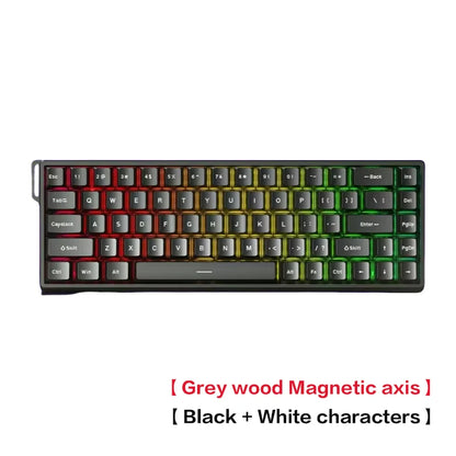 AULA WIN60 HE Magnetic Axis Mechanical Keyboard, 61-Key Wired Gaming Keyboard with Hall Effect Switches, 8K Polling Rate, Hot-Swappable RGB Keyboard for Esports & PC Gaming