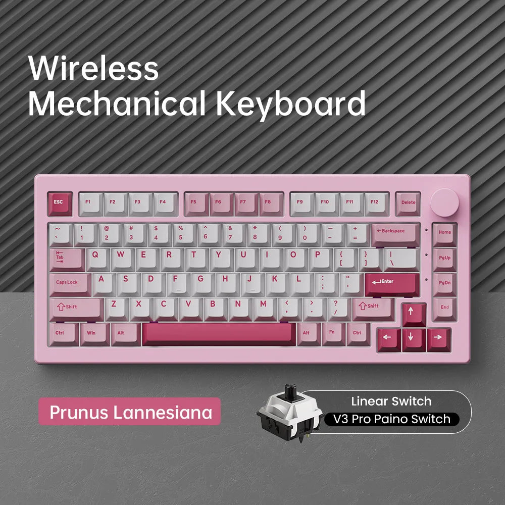 Akko 5075 V3 75% Mechanical Keyboard 8000/10000mAh 2.4GHz Wireless/ Wired Type-C/BT 5.0 Hot Swap RGB Gasket for Gaming Typing