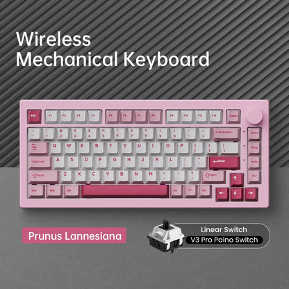 Akko 5075 V3 75% Mechanical Keyboard 8000/10000mAh 2.4GHz Wireless/ Wired Type-C/BT 5.0 Hot Swap RGB Gasket for Gaming Typing