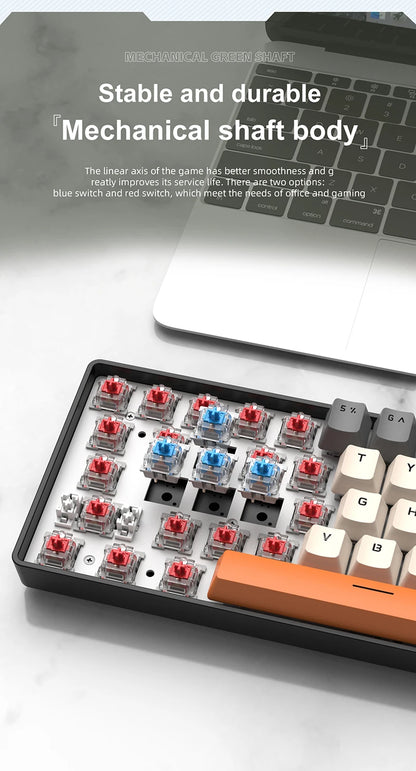 APAYADO K61 60% Mechanical Keyboard Wired RGB, 61 Keys Mini Gaming Keyboard with Red/Blue Switches, Compact RGB Mechanical Keyboard for PC & Laptop