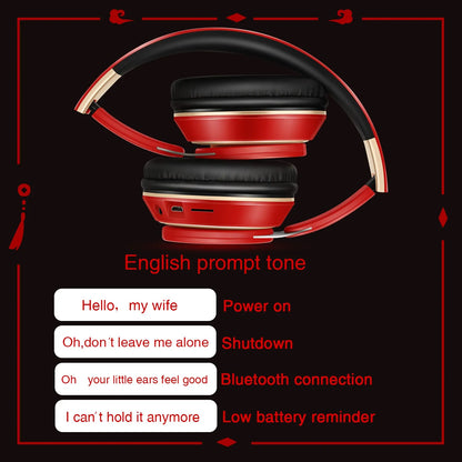 Bluetooth 5.3 Wireless Headphones with Microphone, Stereo Foldable Headset, MP3 FM Radio, Kids Gaming Earphones, Student Gift Headphones