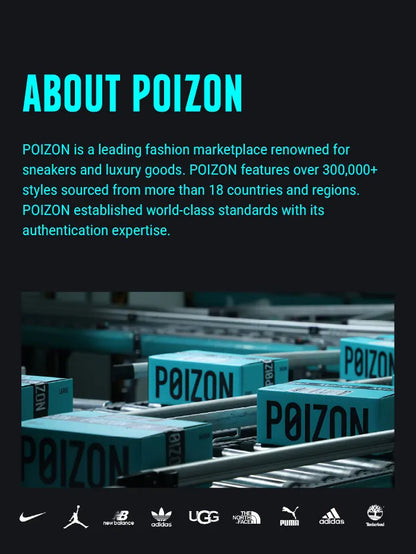 POIZON Nike Flex Experience Run 12 Photon Dust Light Smoke Grey White Psychic Blue Women's DV0746-007