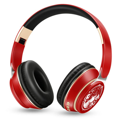 Bluetooth 5.3 Wireless Headphones with Microphone, Stereo Foldable Headset, MP3 FM Radio, Kids Gaming Earphones, Student Gift Headphones