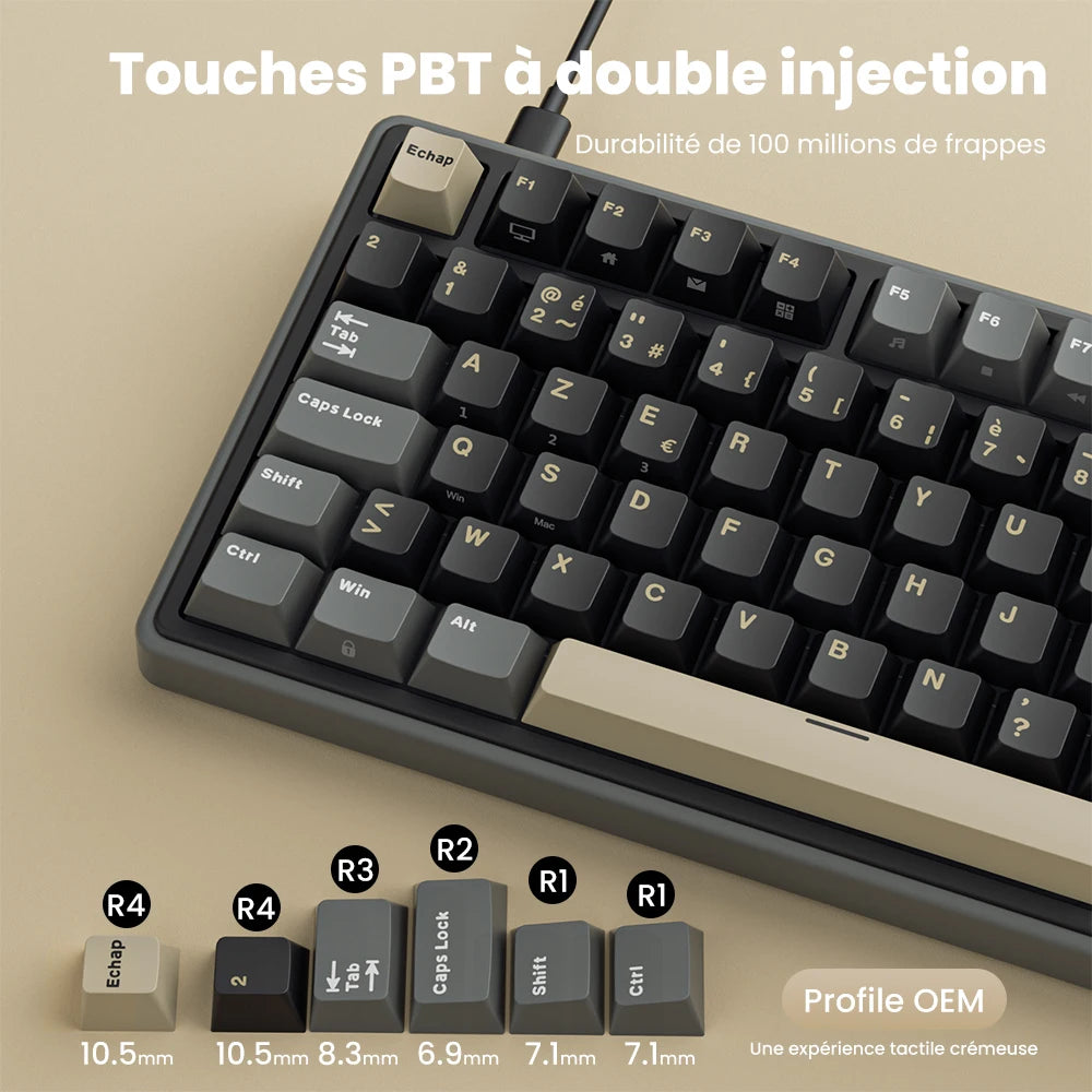 RK ROYAL KLUDGE R98Pro Gasket kabelgebundene mechanische Tastatur, 98 Tasten, RGB, Hot-Swap-fähig, abnehmbarer Button, Gaming-Tastatur mit PBT-Tastenkappen