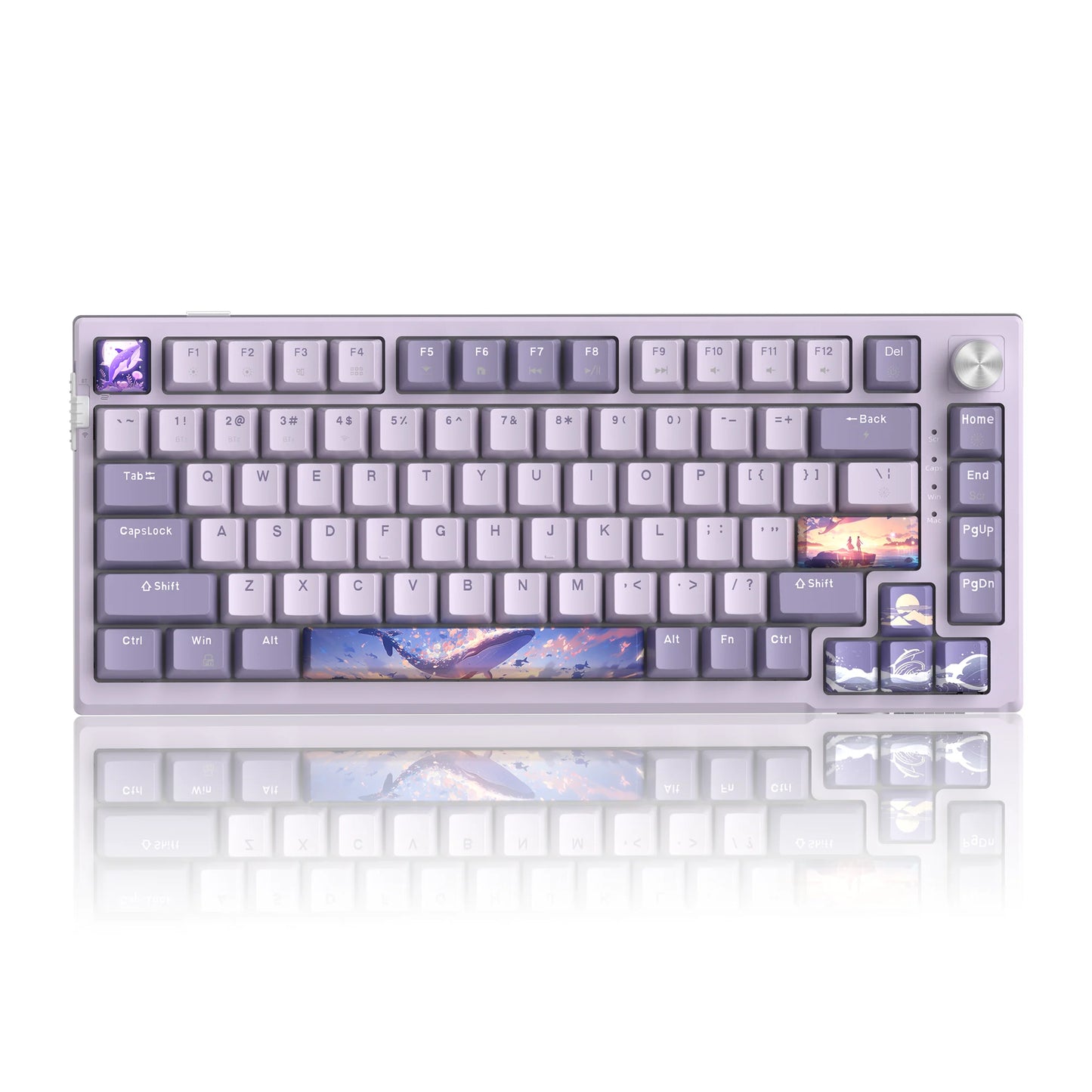 MageGee SKY81 Teclado mecánico gaming 75%, RGB, gasket, hot swappable, con cable, personalizable, sonido cremoso, amortiguación acústica y perilla