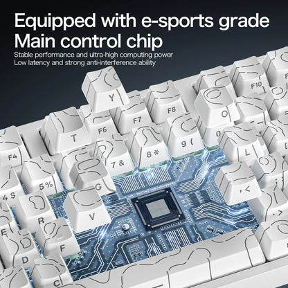 ATTACK SHARK R82 HE Wired 75% Magnetic Keyboard RGB 8000Hz Rapid Trigger 0.005mm Actuation Gaming Keyboard