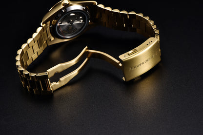 PAGANI DESIGN Luxury Men Watch Sapphire mirror Luminous Stainless Steel Watch Week Date Mechanical Waterproof ST16 Man watch