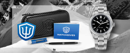 Watchdives WD0003B ‌Aventurine Dial Watch VH31 Quartz Movement Sapphire Crystal Luminous 100m Waterproof 36mm Vintage Watches