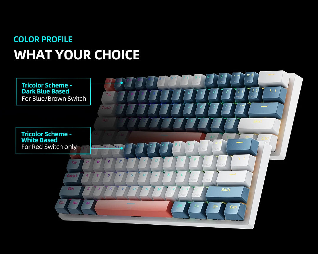 MACHENIKE K500-B61 Mini Mechanical Keyboard 60% Wired Gaming Keyboard, 61-Key Hot-Swappable RGB Backlit Mechanical Keyboard with PBT Keycaps