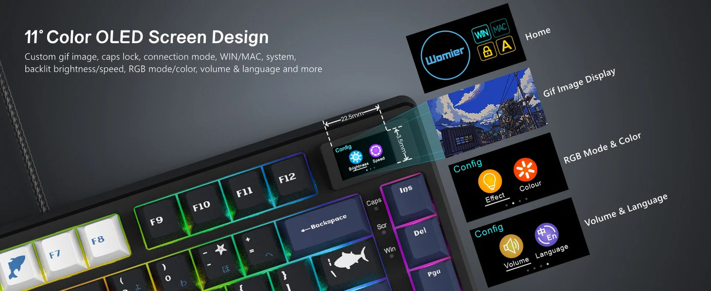 Womier Wired Mechanical Gaming Keyboard with OLED Display, Hot-Swappable RGB Keyboard, PBT Pudding Keycaps, 81-Key USB-C Mechanical Keyboard for PC & Laptop
