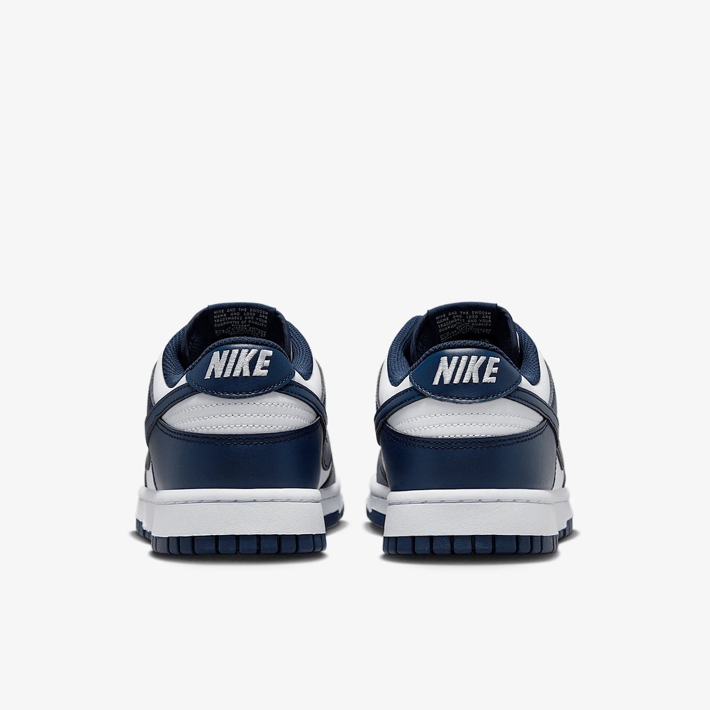 Nike Authentic Dunk Low Retro Men's Sports Low-Top Sneakers HF5441-107