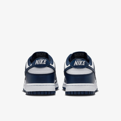 Nike Authentic Dunk Low Retro Men's Sports Low-Top Sneakers HF5441-107
