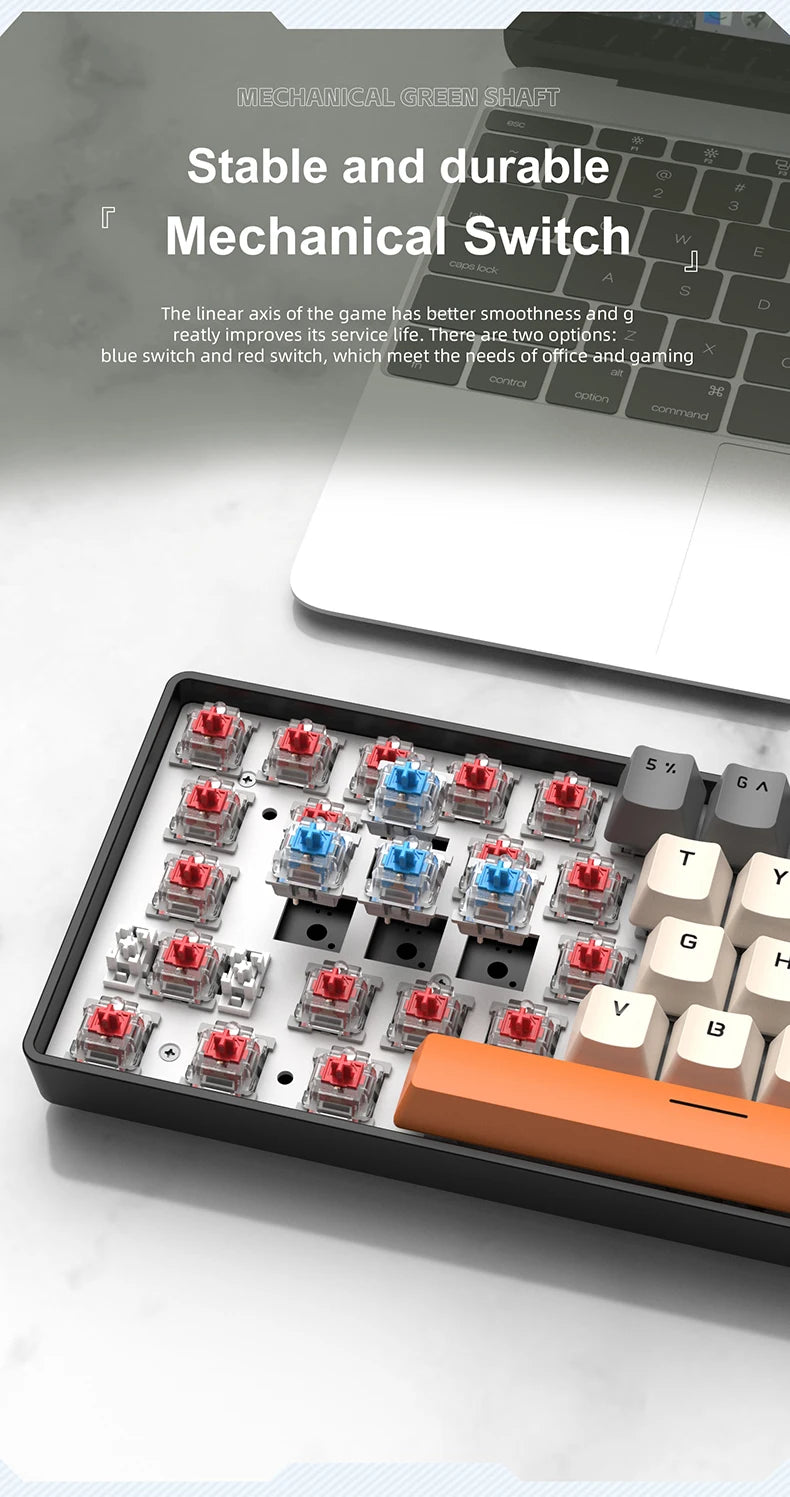 APAYADO K61 Mini Mechanical Keyboard 61-Key Wired Gaming Keyboard with Hot-Swappable Red/Blue Switches, RGB Backlit 60% Compact Mechanical Keyboard