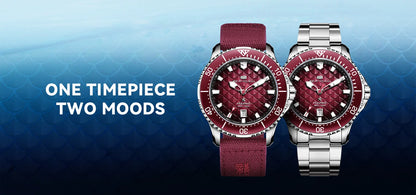 Seagull King of the Dragon Men's Watches Automatic Mechanical Watch Sports Diver 300M Waterproof Wristwatch Luxury 2024 New 1216