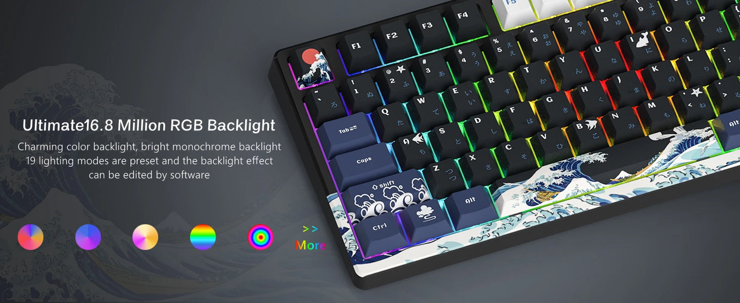 Womier Wired Mechanical Gaming Keyboard with OLED Display, Hot-Swappable RGB Keyboard, PBT Pudding Keycaps, 81-Key USB-C Mechanical Keyboard for PC & Laptop