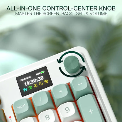 Redragon K719 Wireless Gasket Gaming 95 Keys Mechanical Keyboard,Easy-Control 1.14’’ TFT Info Display,Mint Mambo Switches