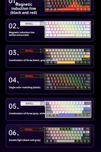 AULA WIN60 HE Magnetic Axis Mechanical Keyboard, 61-Key Wired Gaming Keyboard with Hall Effect Switches, 8K Polling Rate, Hot-Swappable RGB Keyboard for Esports & PC Gaming