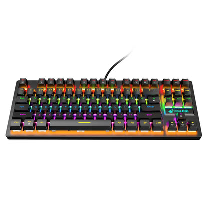 USB Mechanical Gaming Keyboard with Rainbow Backlit, Anti-Ghosting Keys, Blue Switches, Detachable Panel, Compact Wired Gaming Keyboard for PC Desktop