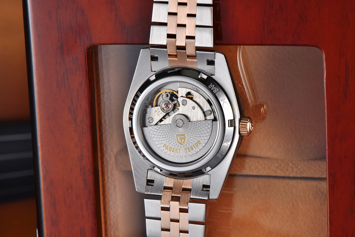 PAGANI DESIGN Luxury Men Watch Sapphire mirror Luminous Stainless Steel Watch Week Date Mechanical Waterproof ST16 Man watch