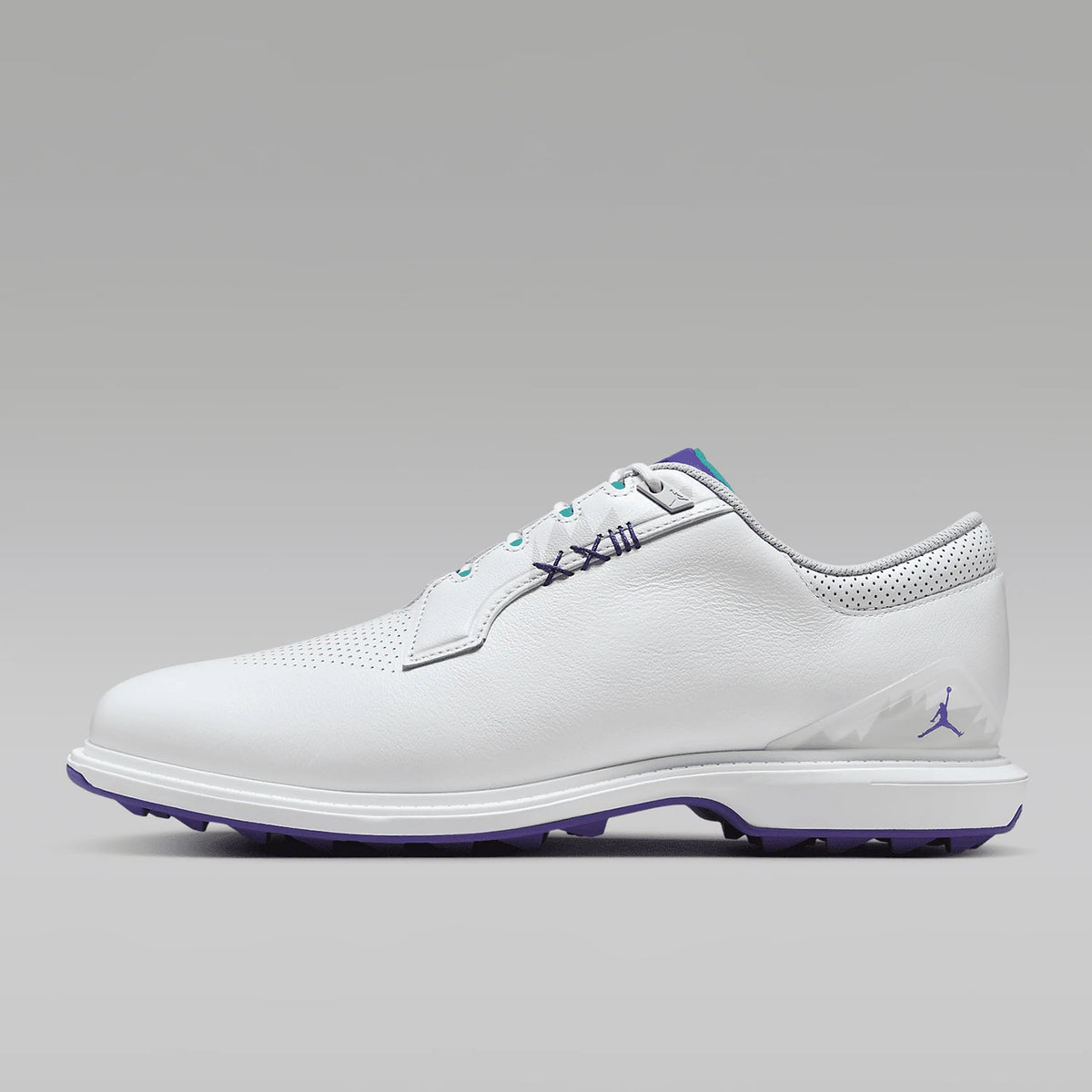 „Nike Authentic Jordan ADG 5 W“ vyriški sportiniai golfo batai FQ7874-100