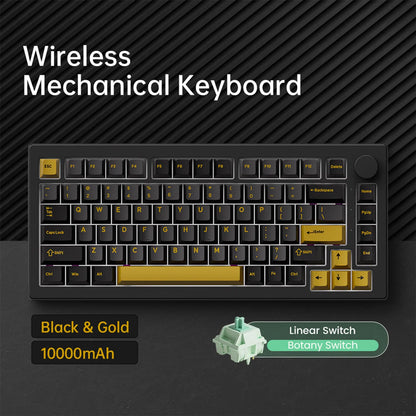 Akko 5075 V3 75% Mechanical Keyboard 8000/10000mAh 2.4GHz Wireless/ Wired Type-C/BT 5.0 Hot Swap RGB Gasket for Gaming Typing