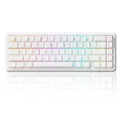 ATTACK SHARK X65 HE Magnetic Switch Rapid Trigger Keyboard, 65% Wired Gaming Keyboard with 8000Hz Polling Rate, Hall Effect RGB Mechanical Keyboard