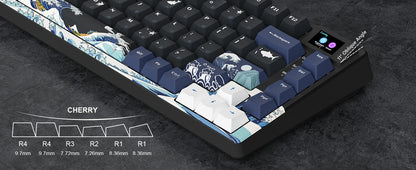 Womier Wired Mechanical Gaming Keyboard with OLED Display, Hot-Swappable RGB Keyboard, PBT Pudding Keycaps, 81-Key USB-C Mechanical Keyboard for PC & Laptop