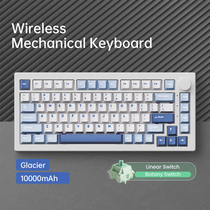 Akko 5075 V3 75% Mechanical Keyboard 8000/10000mAh 2.4GHz Wireless/ Wired Type-C/BT 5.0 Hot Swap RGB Gasket for Gaming Typing
