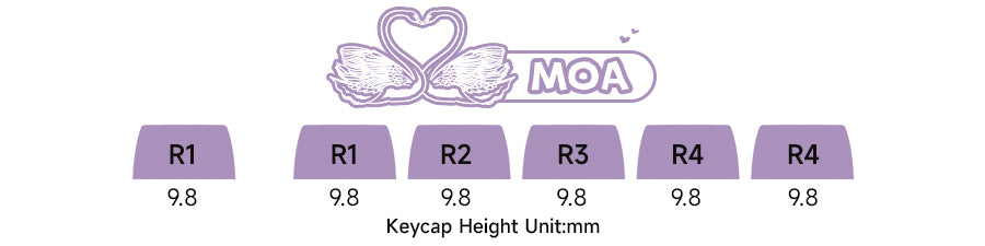Tastiera meccanica wireless Akko MonsGeek MG108B Bun Wonderland, profilo MOG, RGB, 108 tasti, formato full size, hot swap, USB / 2.4G / BT 5.0